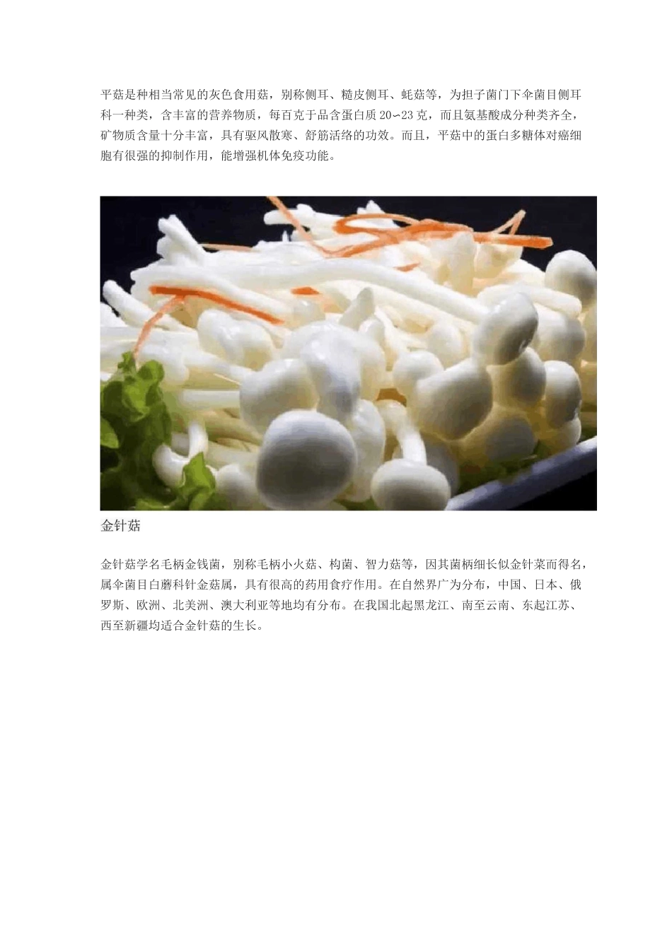 蘑菇种类及图片大全_第3页