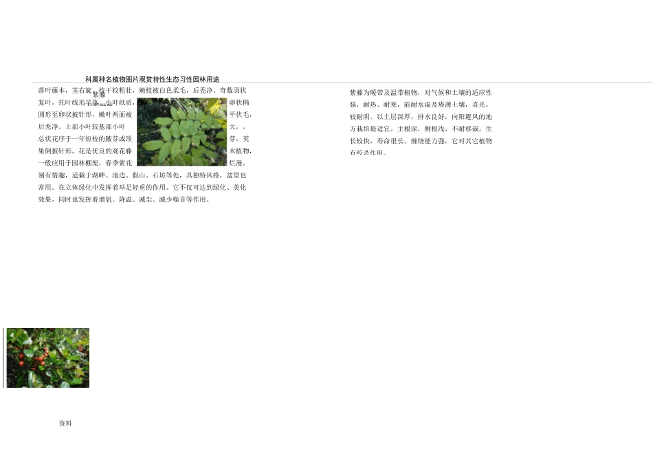 杭州常见园林植物80种_第2页