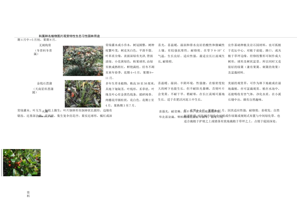 杭州常见园林植物80种_第3页