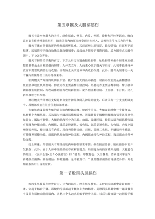 第五章   髋及大腿部筋伤--中医筋伤学(六版)