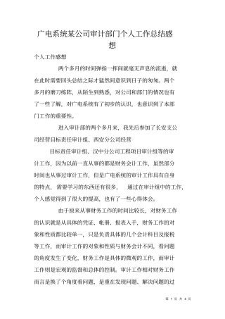 广电系统某公司审计部门个人工作总结感想