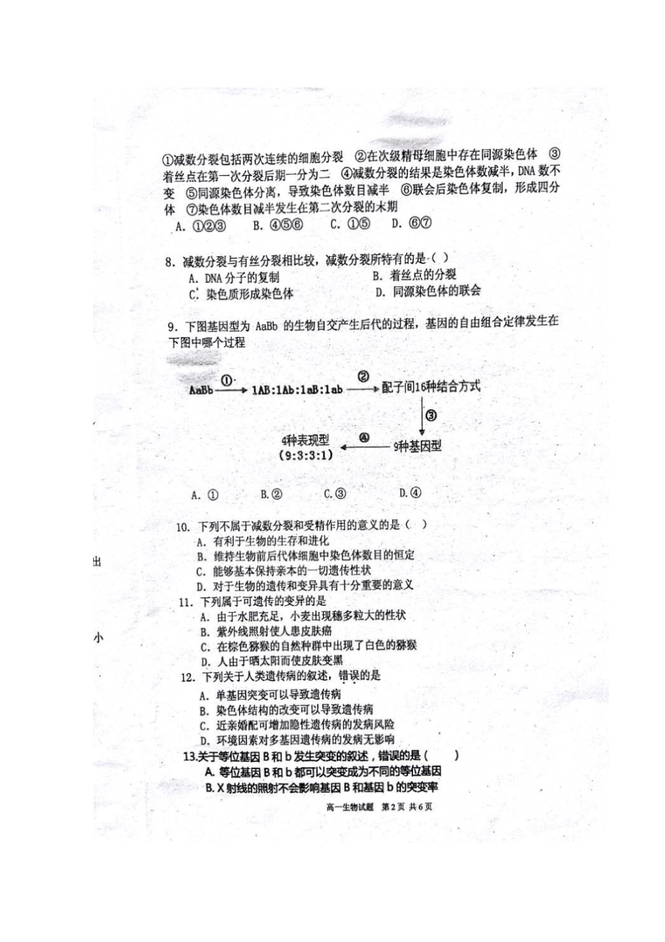 广西南宁马山2012017学年高一生物下学期期末考试试题_第2页