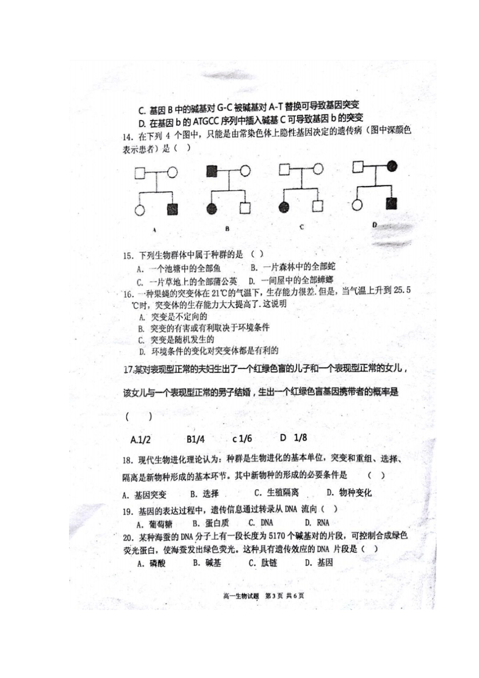 广西南宁马山2012017学年高一生物下学期期末考试试题_第3页