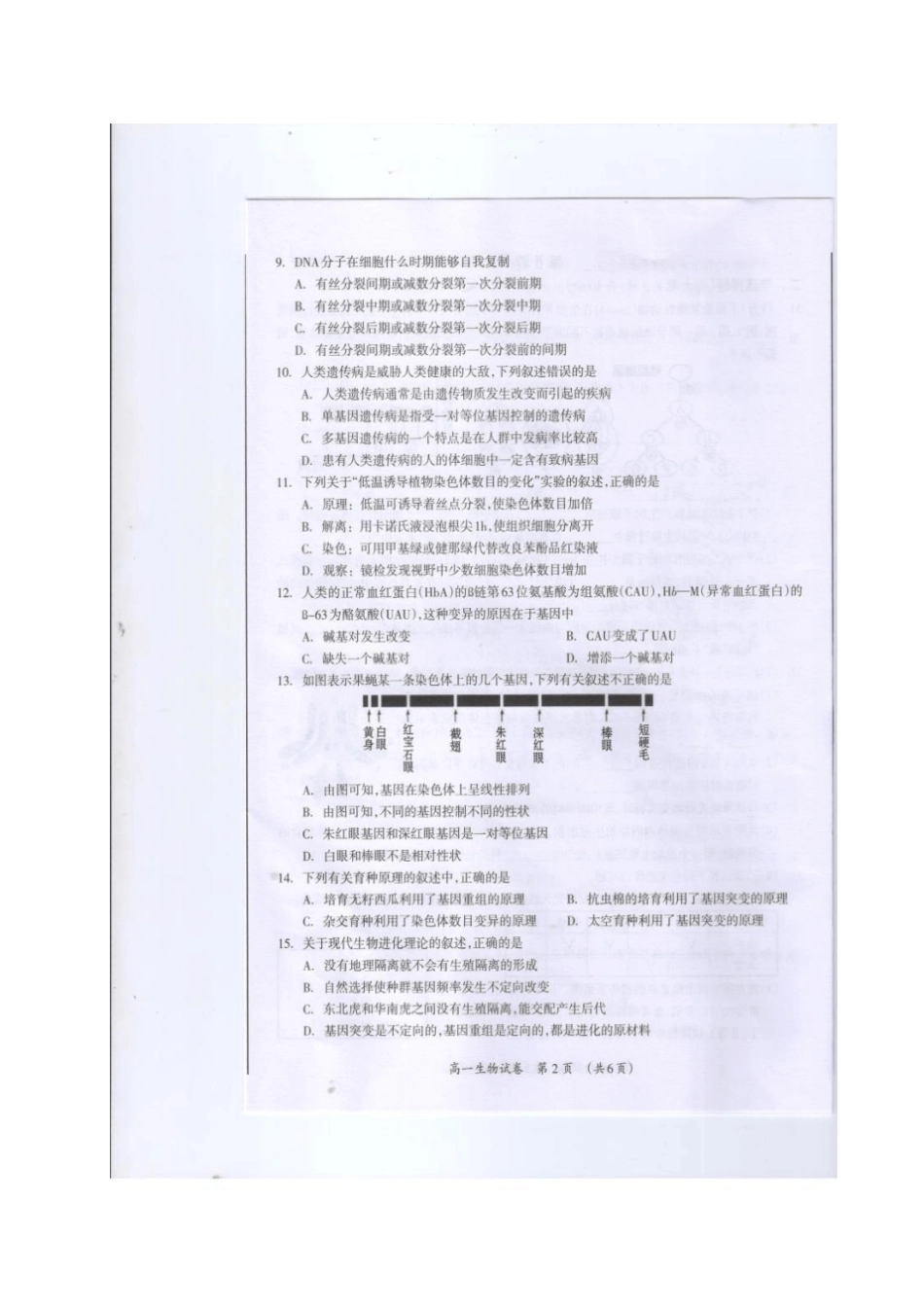 广西桂林2012017学年高一生物下学期期末质量检测试题_第2页