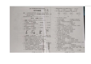 广西河池2017年中考化学真题试题