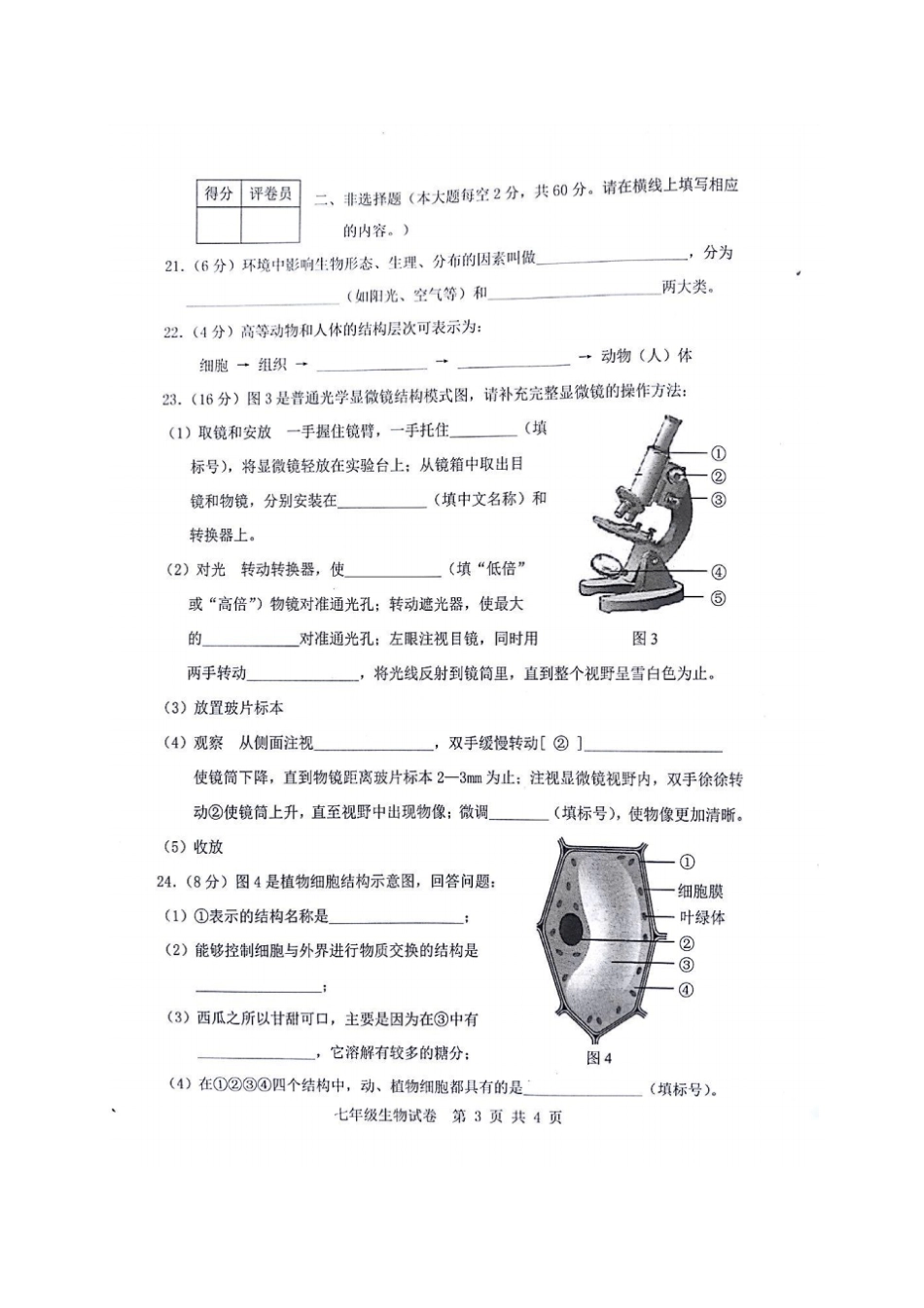 广西贵港港南区2017-2018学年七年级生物上学期期中试题新人教版_第3页
