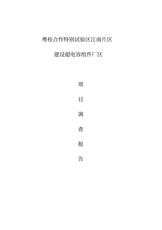 广西项目调查报告