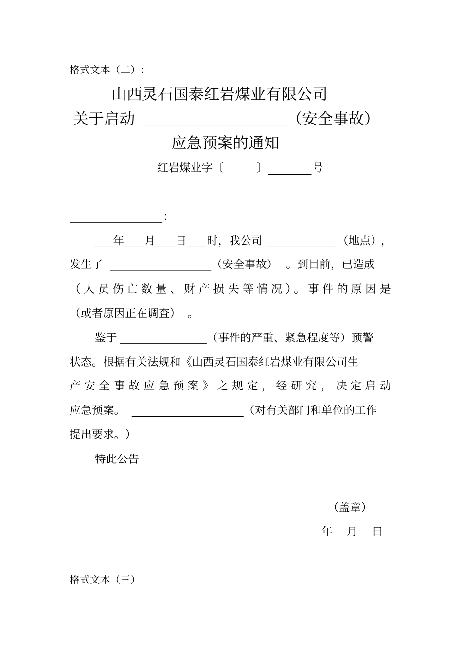 应急预案规范化格式文本_第2页