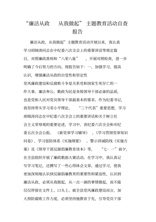 廉洁从政从我做起主题教育活动自查报告