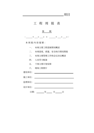 建筑工程周报表模板