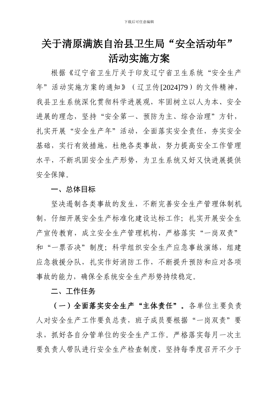 2024年卫生局安全生产年度工作计划_第1页