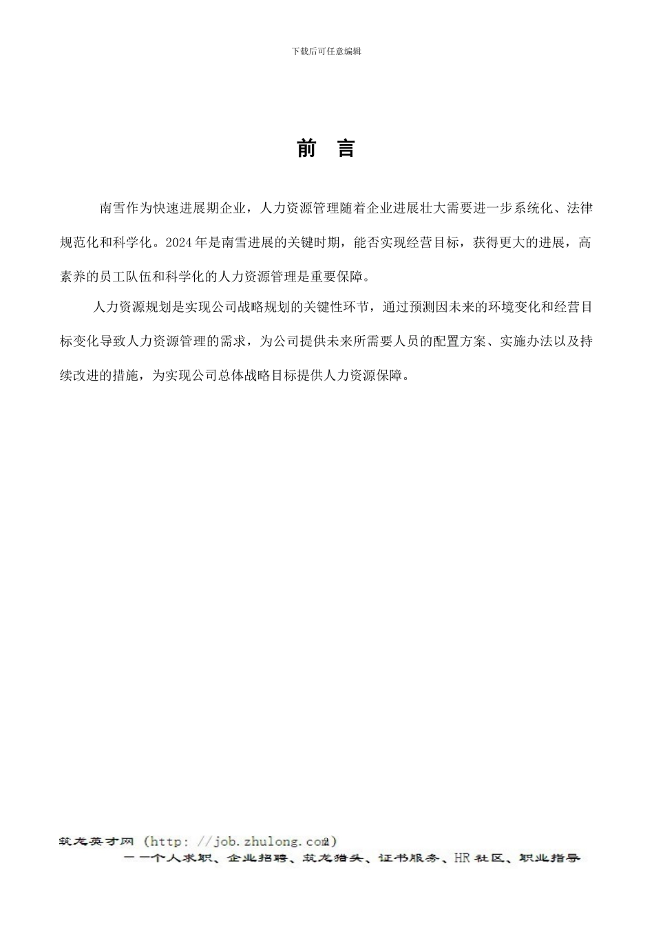 2024年南雪人力资源部规划_第2页