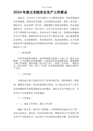 2024年卫生院安全生产工作要点