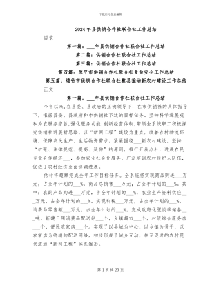 2024年县供销合作社联合社工作总结