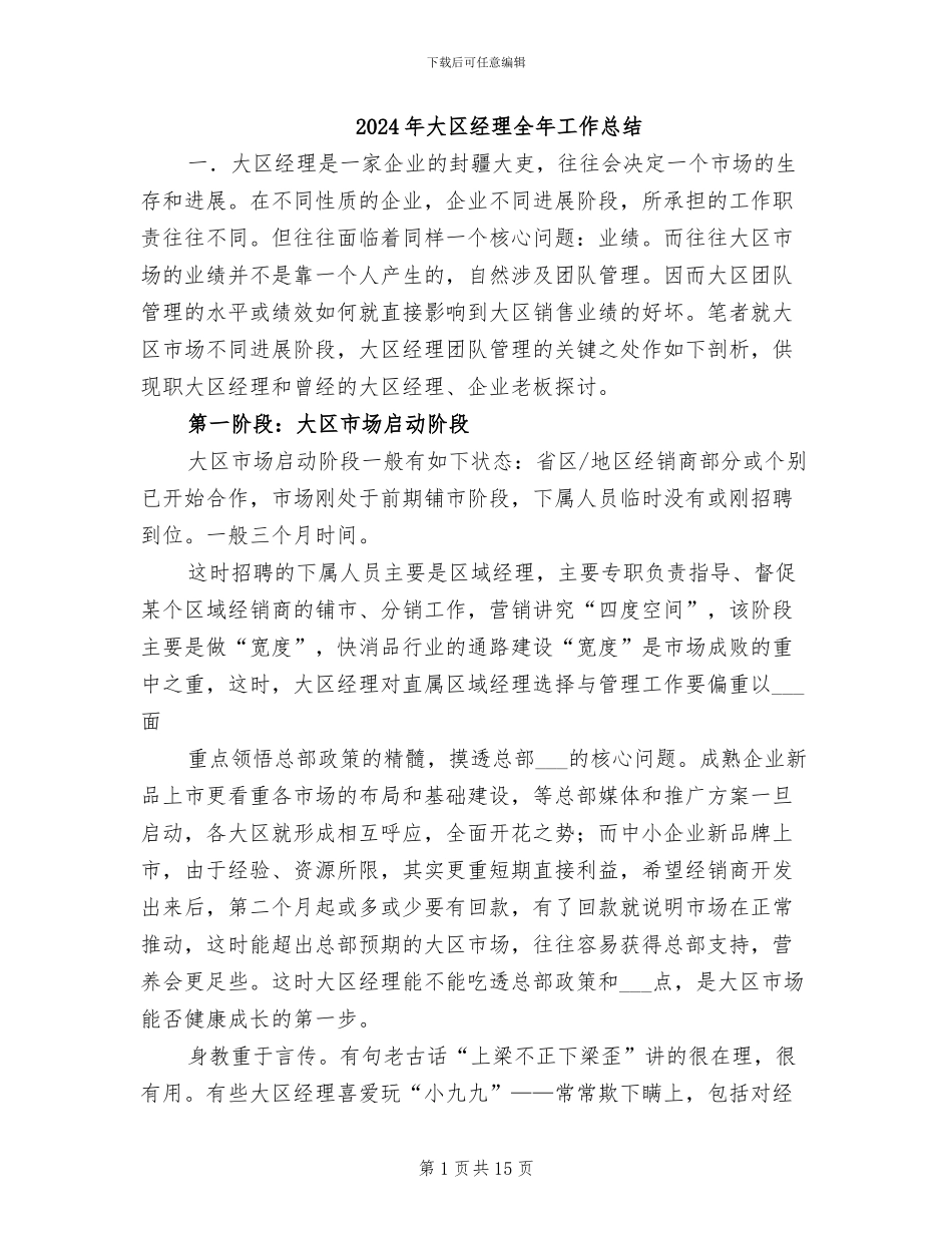 2024年大区经理全年工作总结_第1页