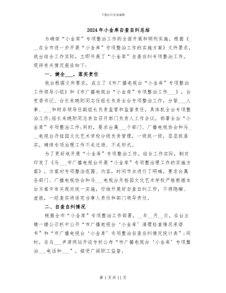 2024年小金库自查自纠总结