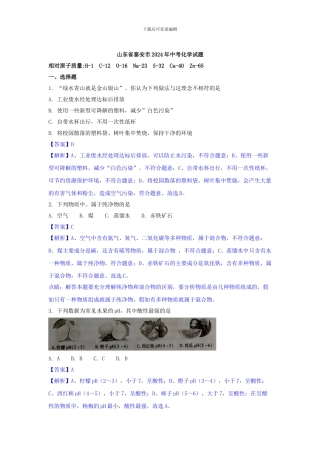 2024年山东省泰安市中考化学试题含答案解析