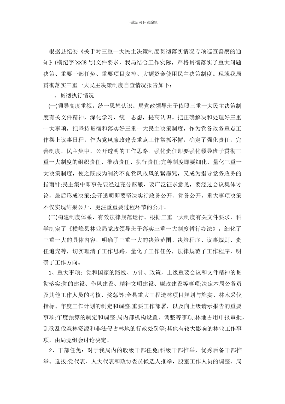 2024年局委“三重一大”自查报告_第2页