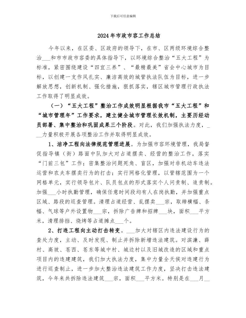2024年市政市容工作总结_第1页