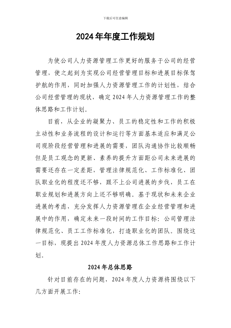 2024年年度工作规划_第1页