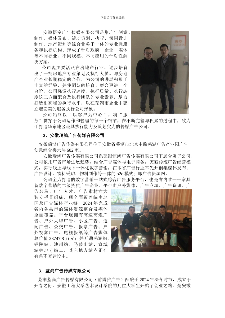 2024年广告策划与营销专业调研报告20241202_第2页