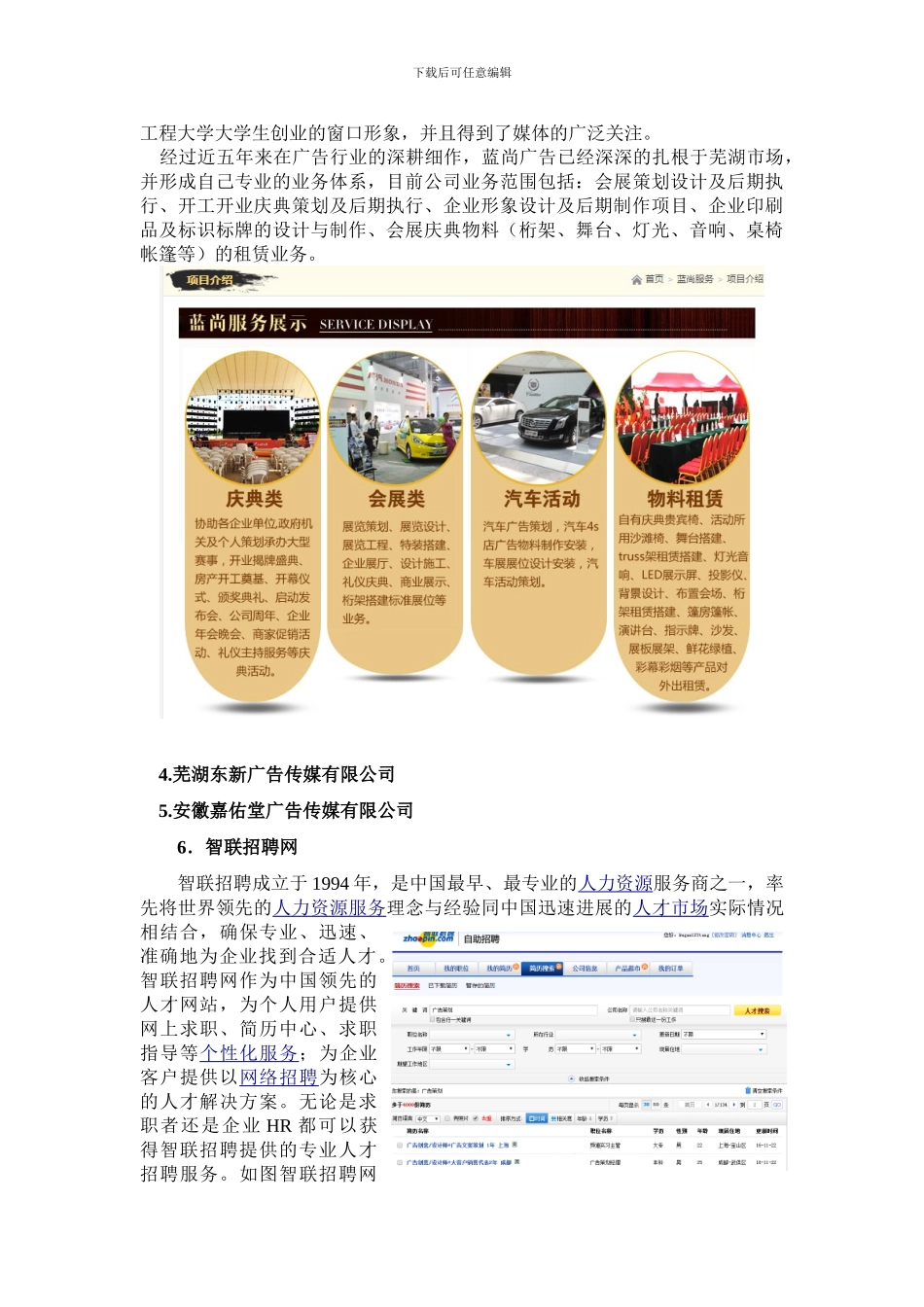 2024年广告策划与营销专业调研报告20241202_第3页