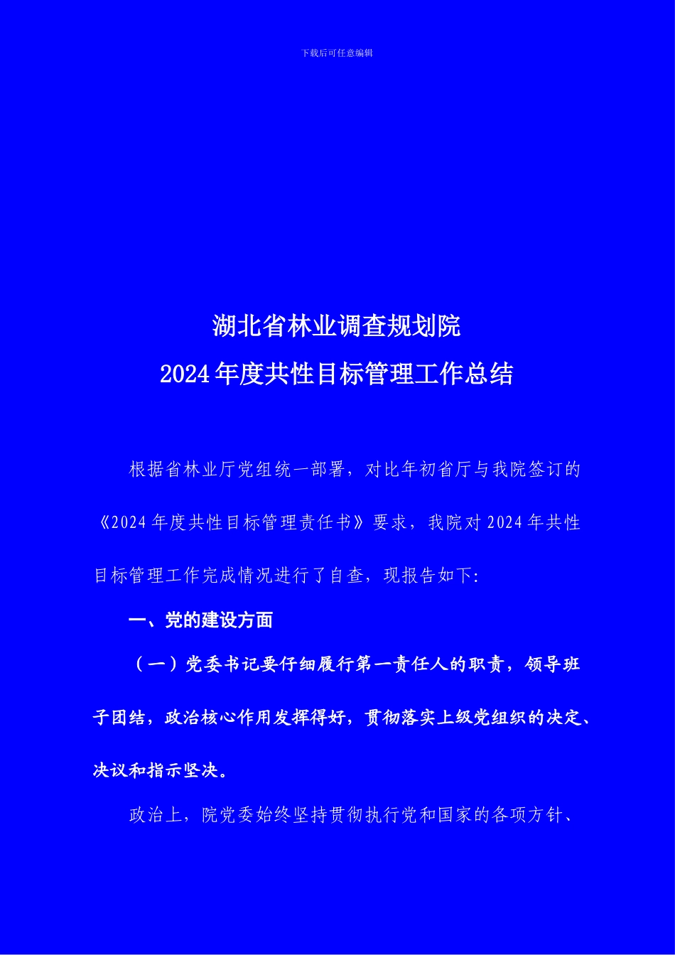 2024年度共性目标管理工作总结_第1页