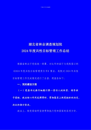 2024年度共性目标管理工作总结