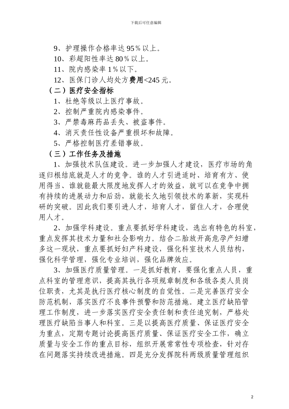 2024年度医疗工作计划_第2页