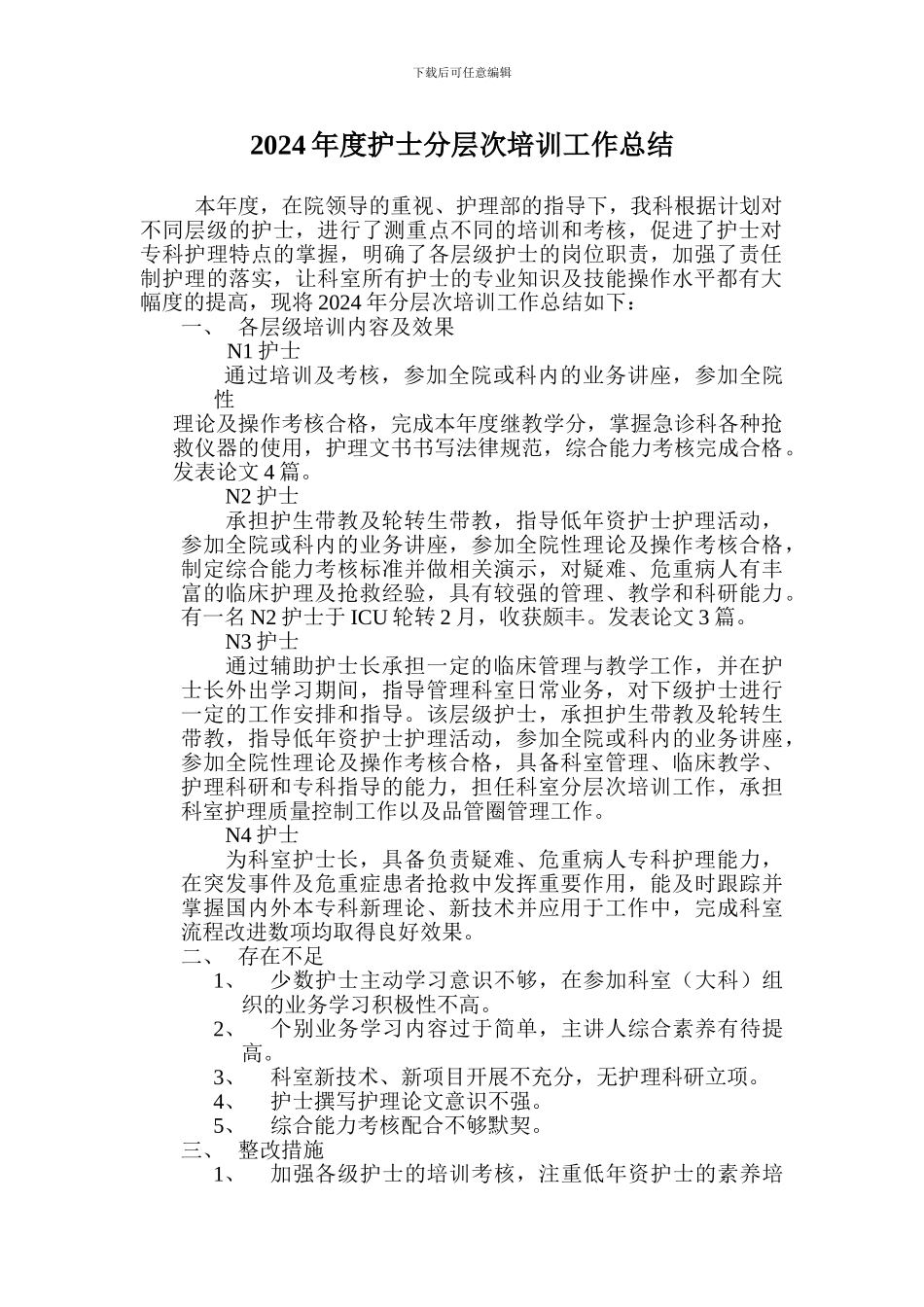 2024年度护士分层次培训工作总结_第1页