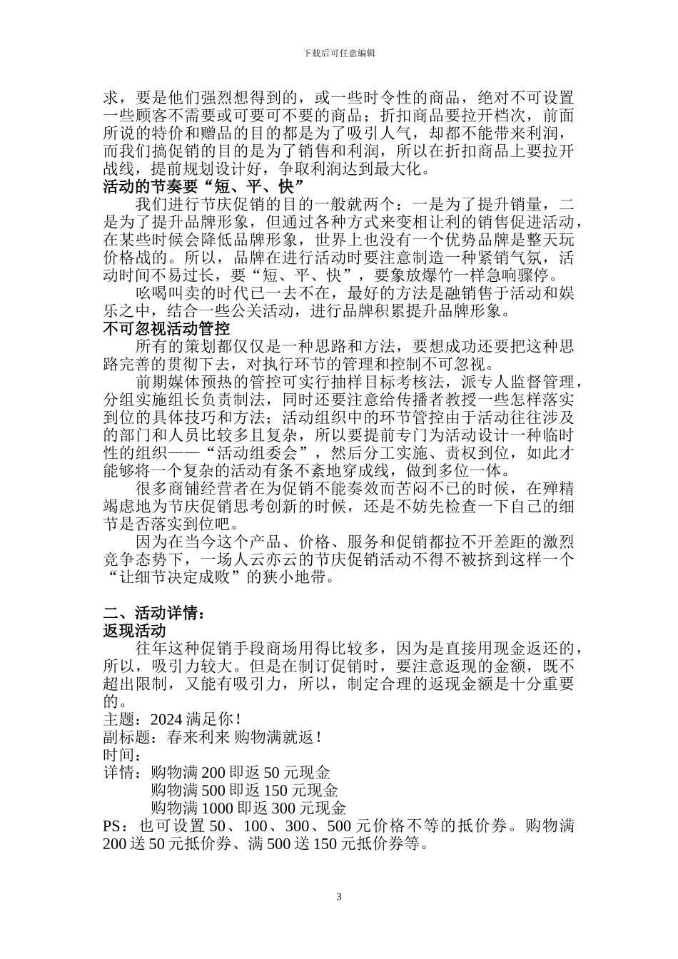 2024年春节促销方案_第3页