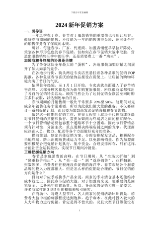 2024年春节促销方案