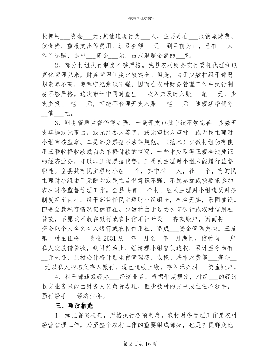 2024年村级财务审计工作总结_第2页