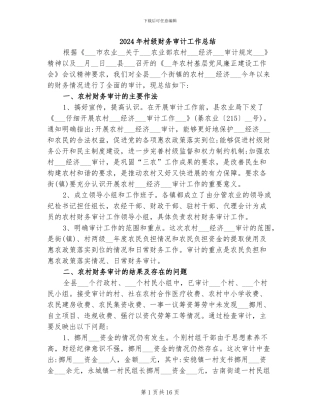2024年村级财务审计工作总结