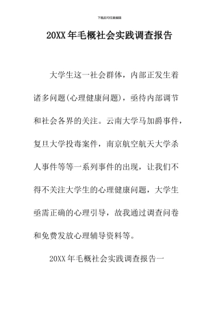 2024年毛概社会实践调查报告--精品范文