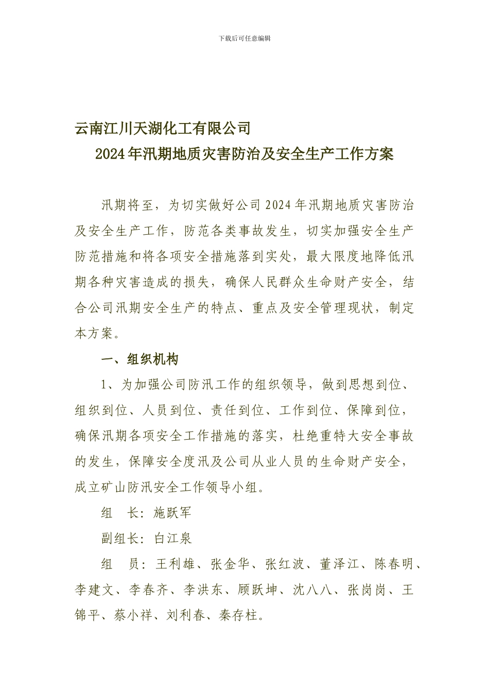 2024年汛期地质灾害防治及安全生产工作方案_第1页