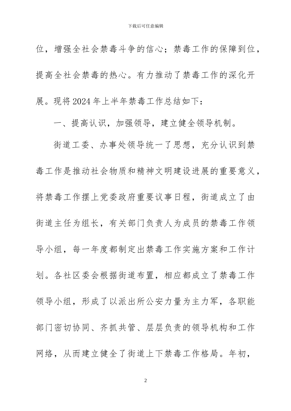 2024年禁毒工作半年总结_第2页