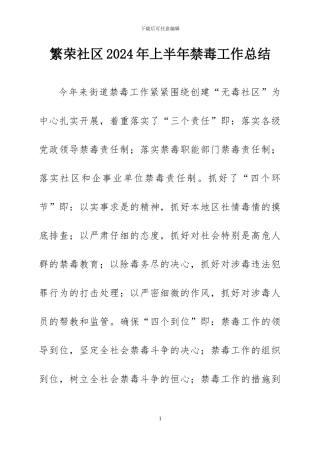 2024年禁毒工作半年总结