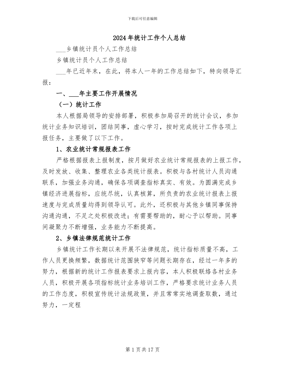 2024年统计工作个人总结_第1页
