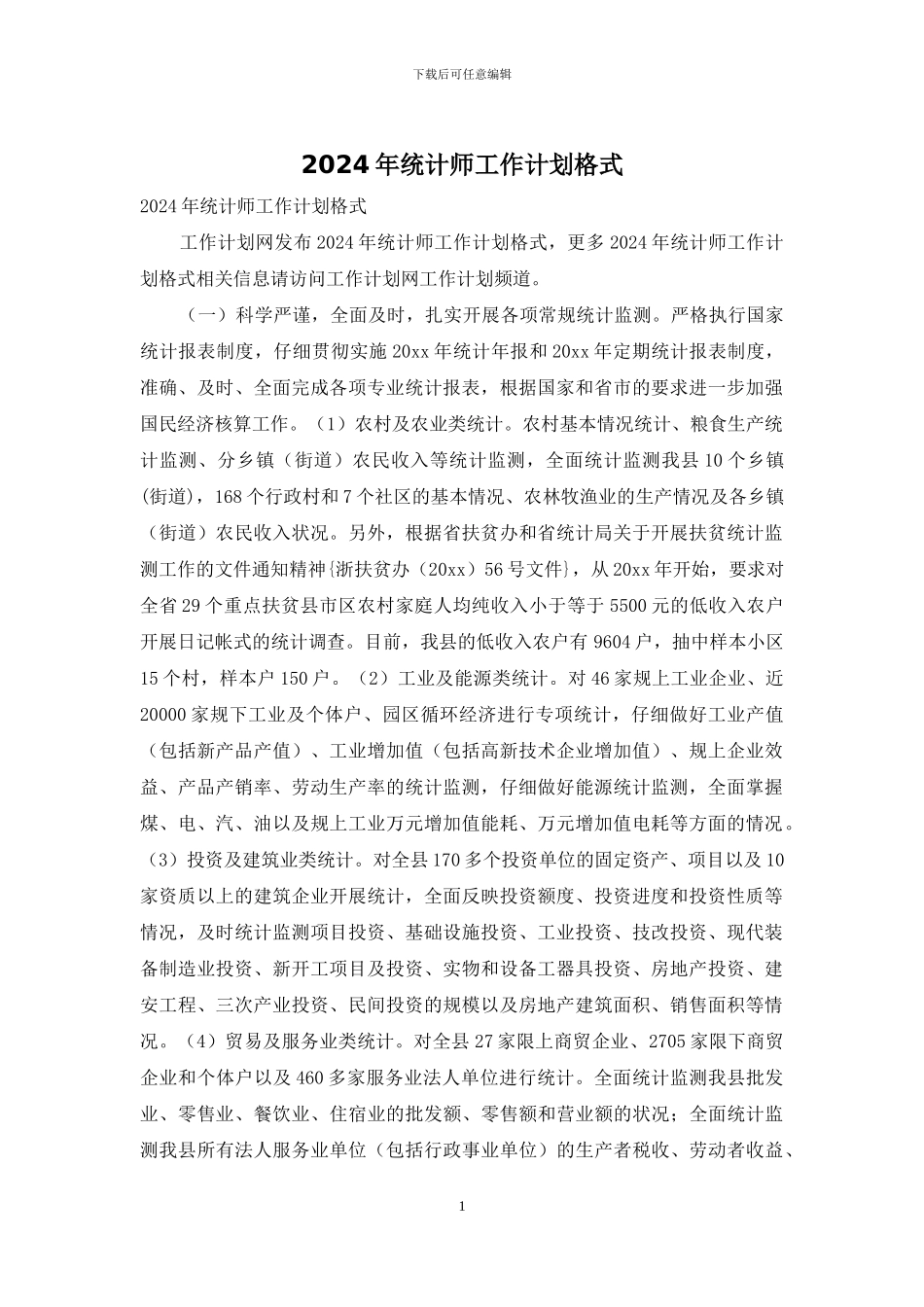 2024年统计师工作计划格式_第1页