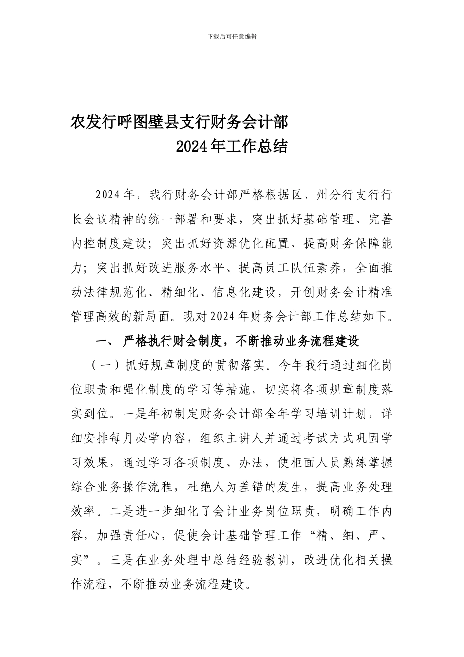 2024年财会工作总结1_第1页