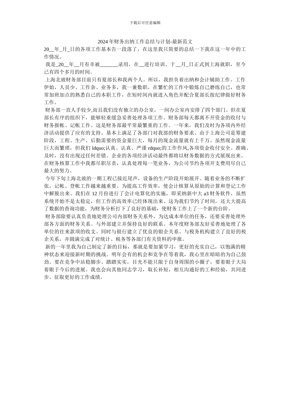 2024年财务出纳工作总结与计划-最新范文_第1页