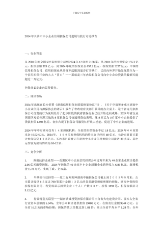 2024年长沙市中小企业信用担保公司发展与投行研究报告