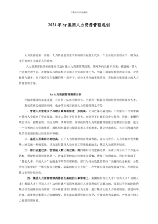 2024年集团人力资源管理规划