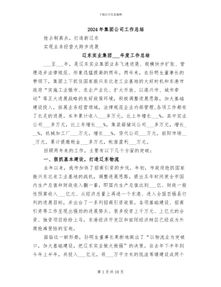 2024年集团公司工作总结