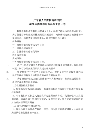 2024年静脉治疗小组工作计划