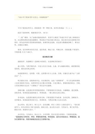 2024战机防护作文例文