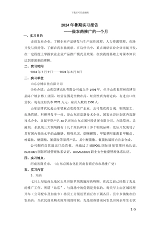 2024暑期实习报告