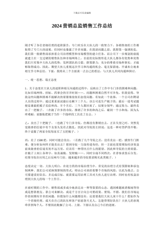 2024营销总监销售工作总结