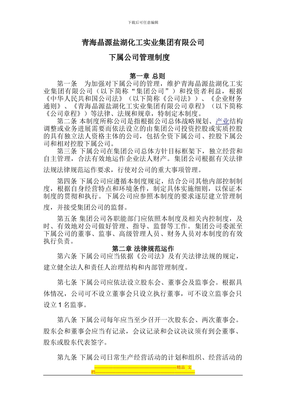 21下属公司管理制度_第1页